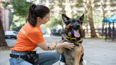 The Impact of Breed-Specific Rescues: How They Save Lives and Educate Owners